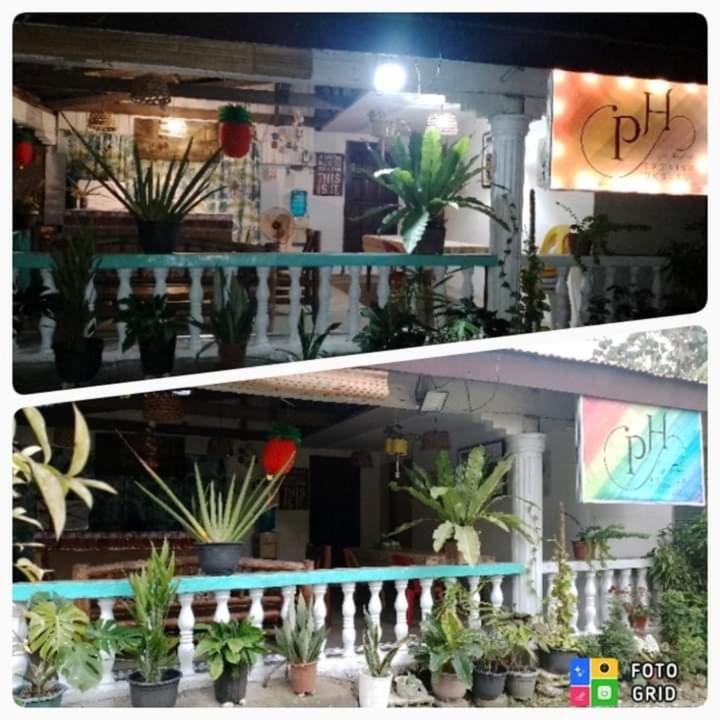 Paraiso Hostel Moalboal Exterior photo